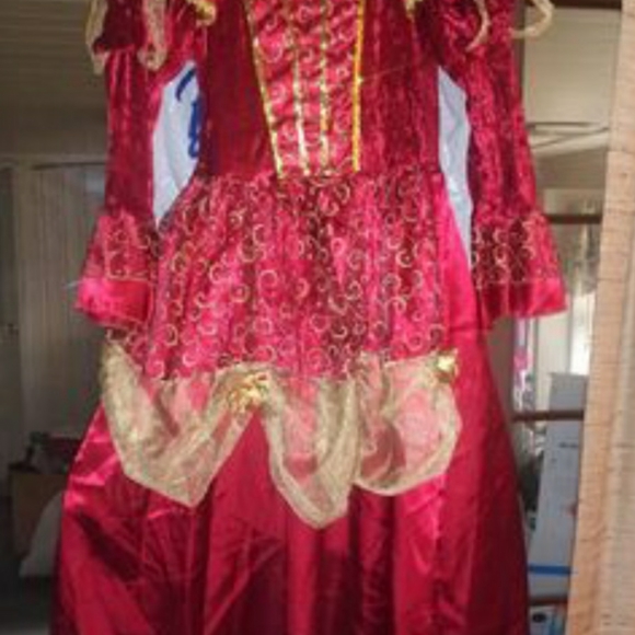 Nwt Girls HOOP Dress Costume - Picture 1 of 8